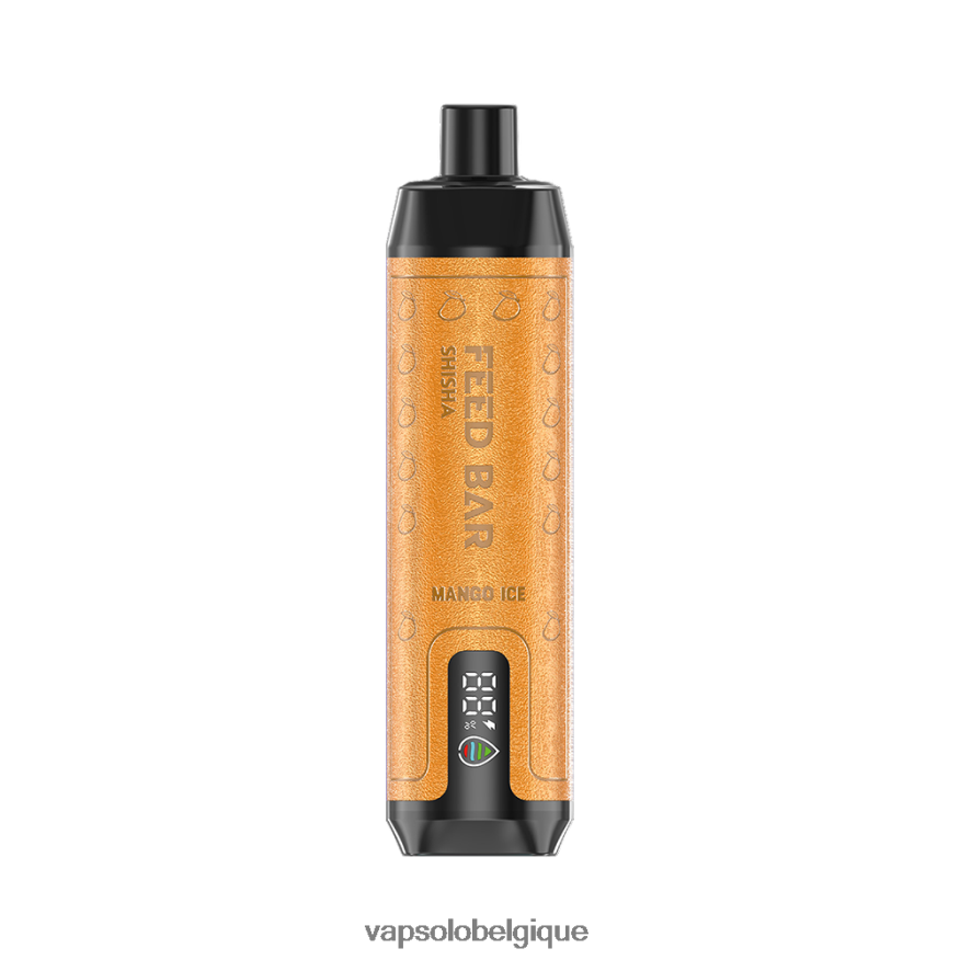 Puff VapSolo - VapSolo SHISHA vape jetable Z6NF449 glace à la mangue
