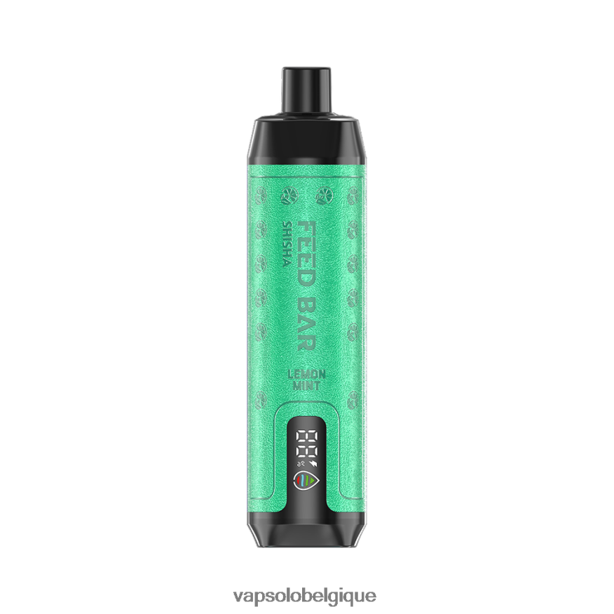 menthe citronnée