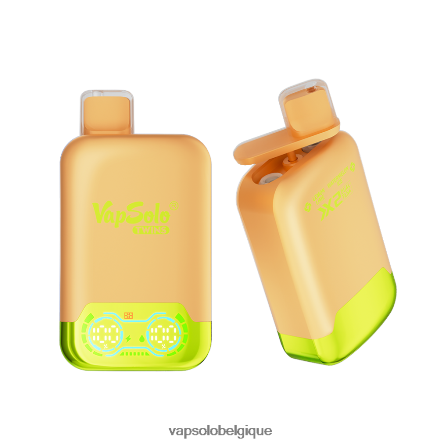 Puff VapSolo - VapSolo TWINS vape jetable Z6NF4429 glace citron vert & pastèque
