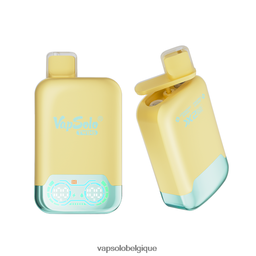 VapSolo Belgique - VapSolo TWINS vape jetable Z6NF4431 ananas noix de coco & fraise banane