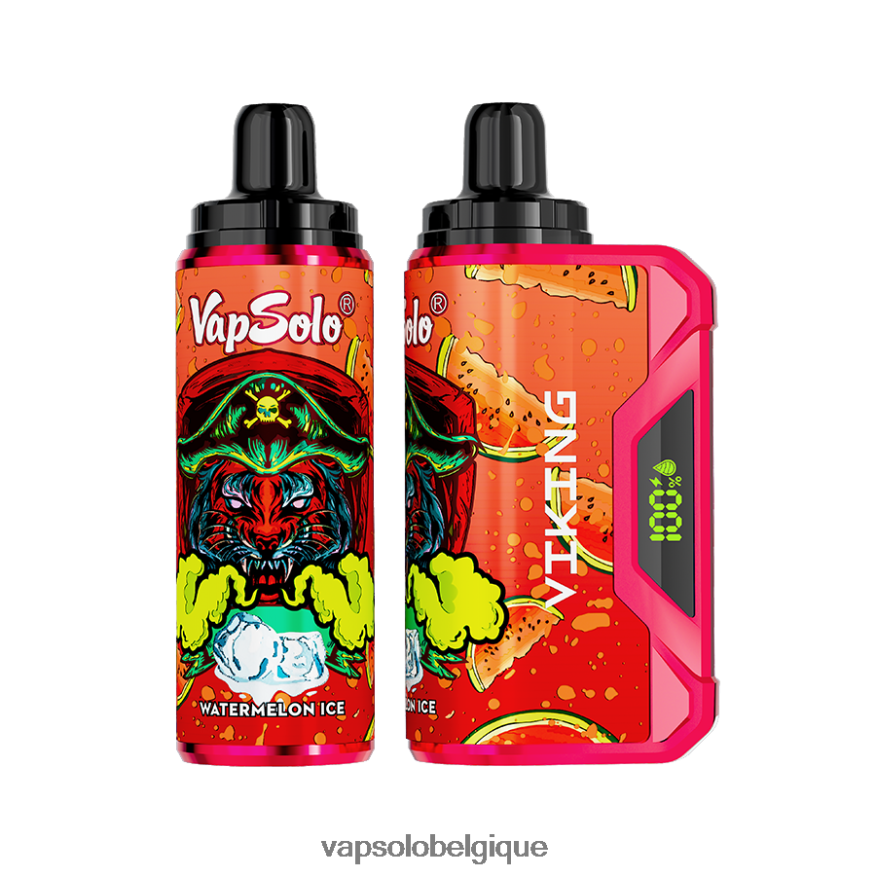 VapSolo Prix - VapSolo VIKING vape jetable Z6NF4448 glace à la pastèque
